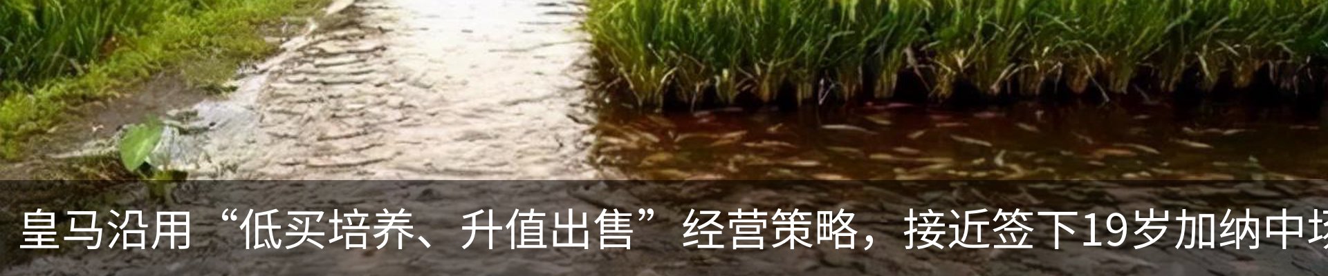 资讯中心