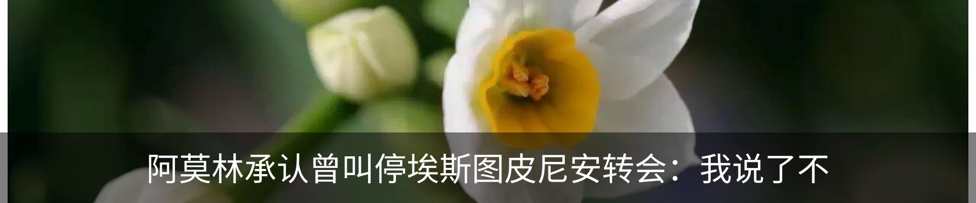资讯中心