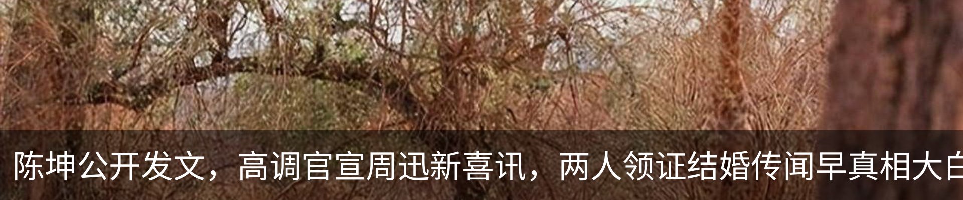 资讯中心