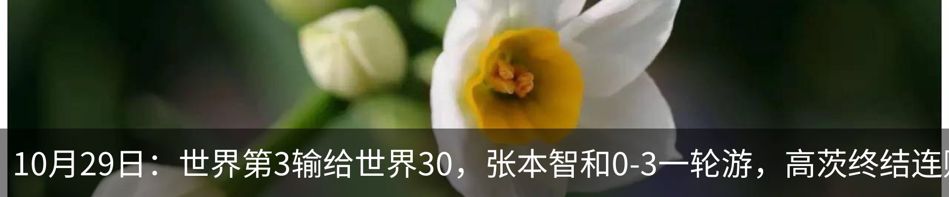 资讯中心